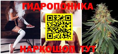 мдпв Лесосибирск