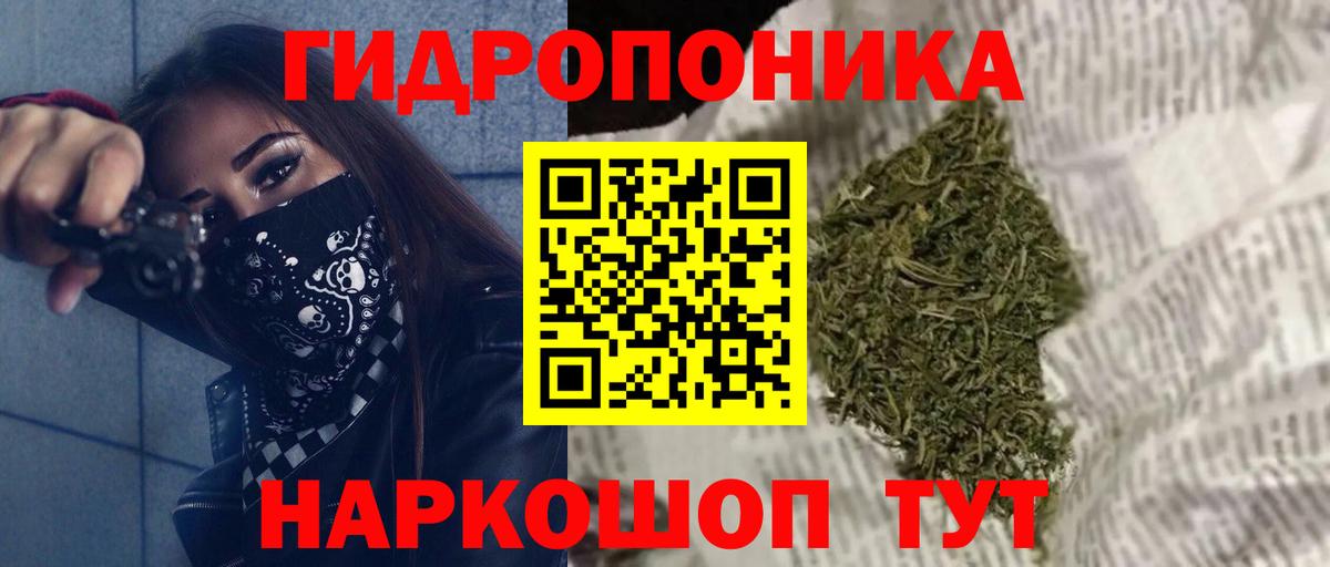 Каннабис OG Kush Гусев